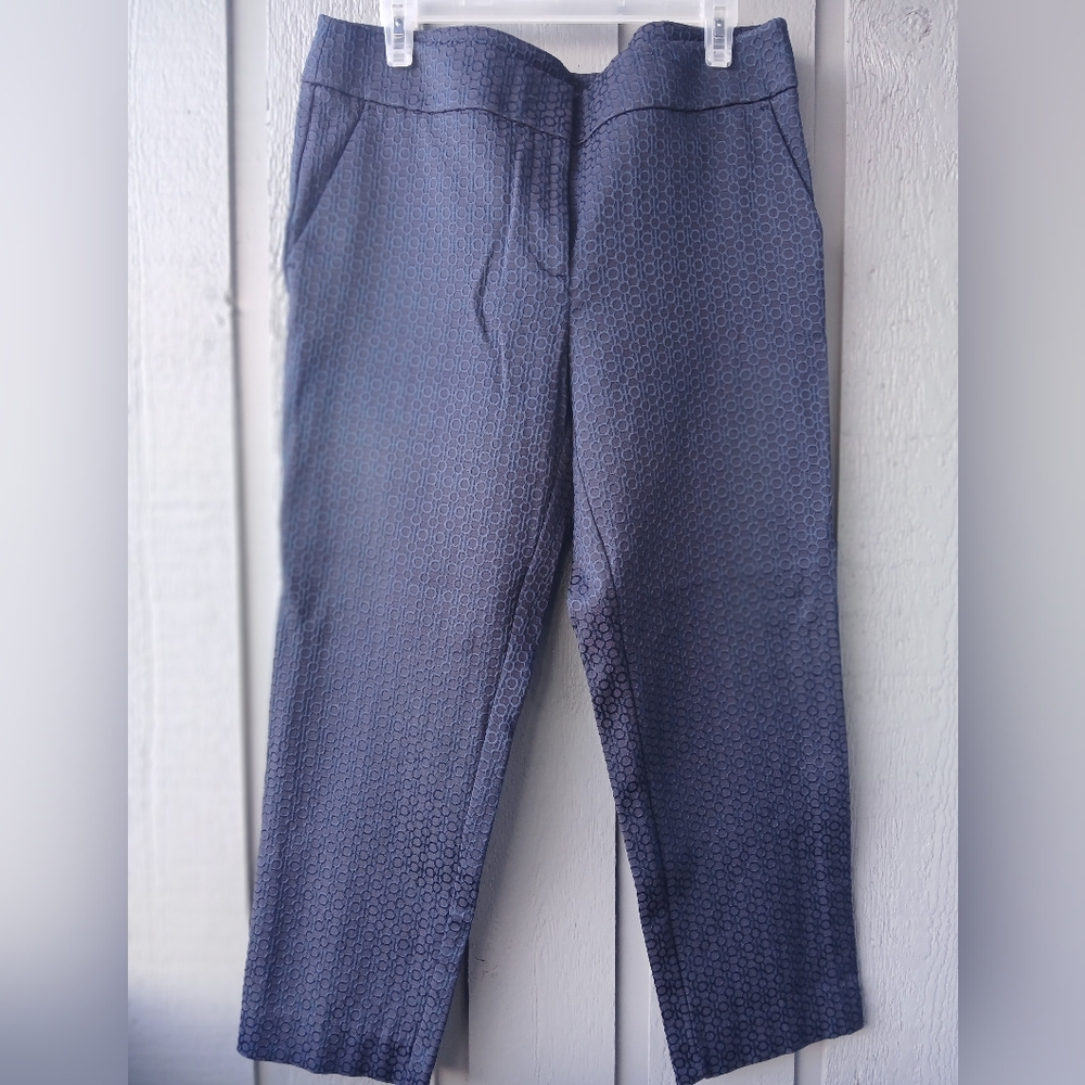 Loft Marisa Pants Sizs 12